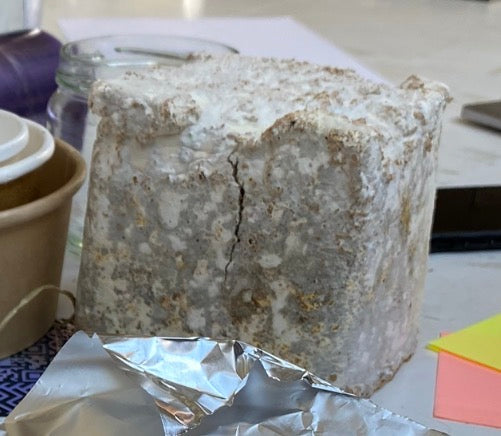 Cube lamp — mycelium & kombucha leather
